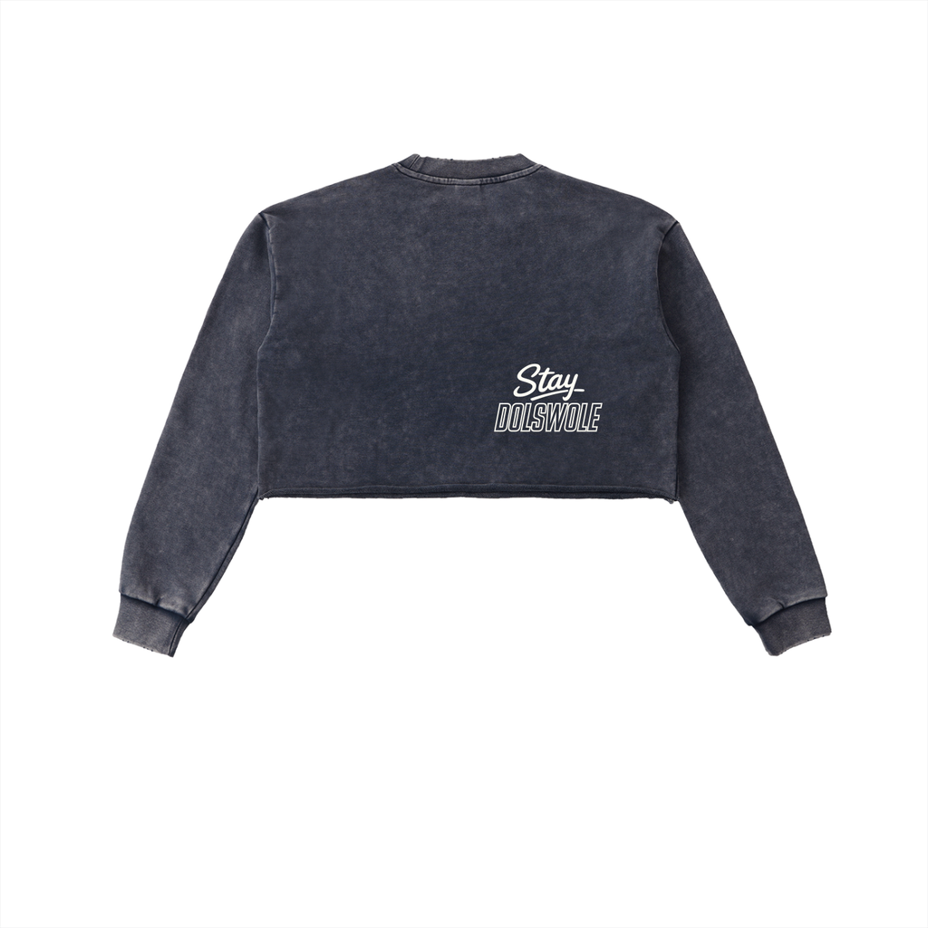 Snow Washed Raw Edge Cropped Sweatshirt