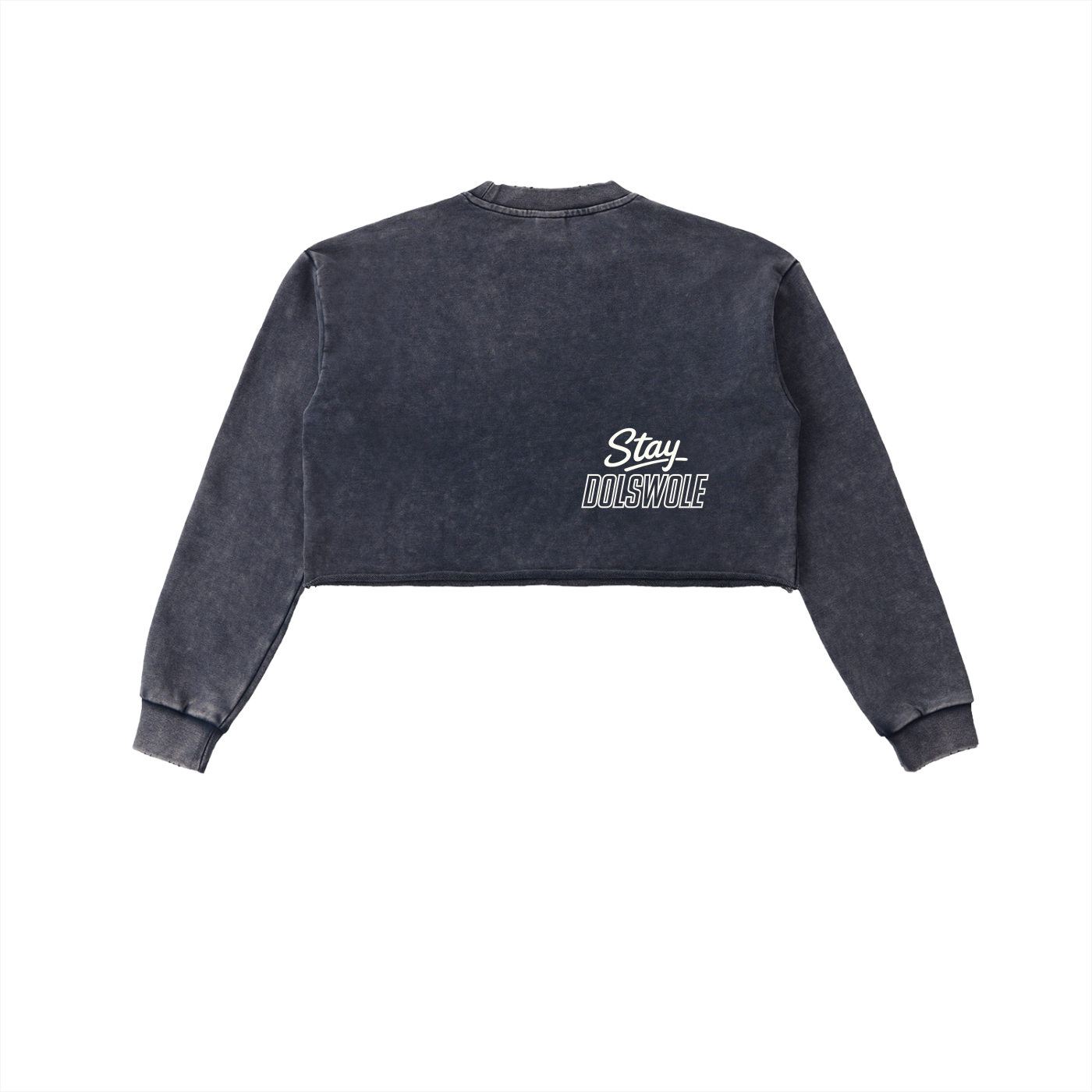 Snow Washed Raw Edge Cropped Sweatshirt