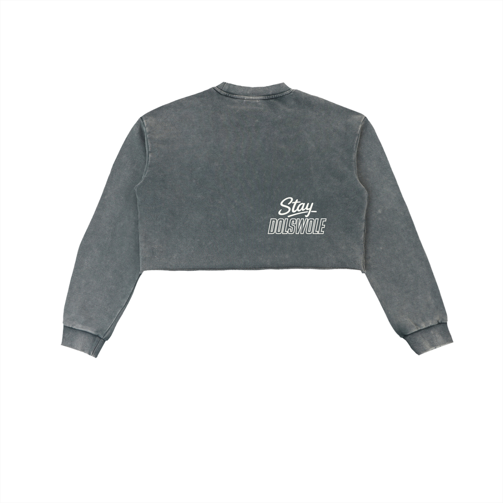 Snow Washed Raw Edge Cropped Sweatshirt