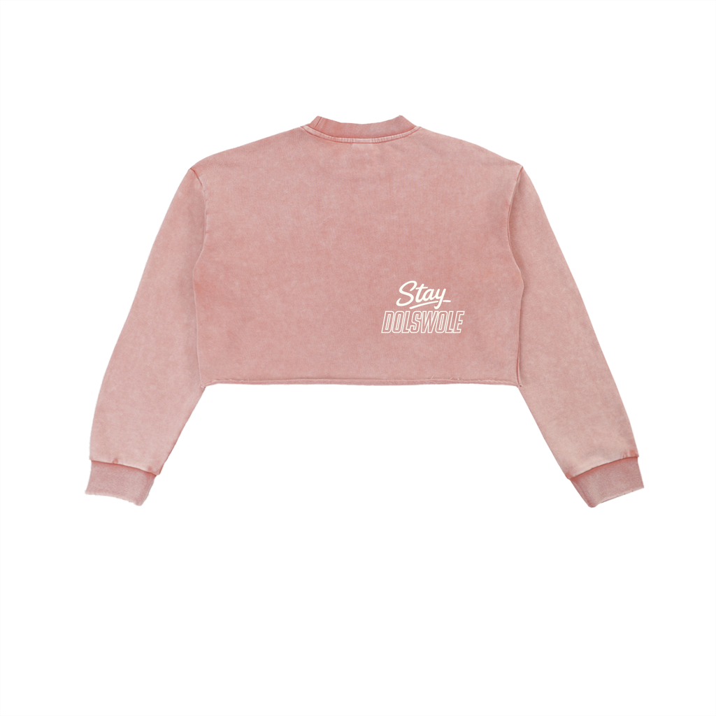 Snow Washed Raw Edge Cropped Sweatshirt