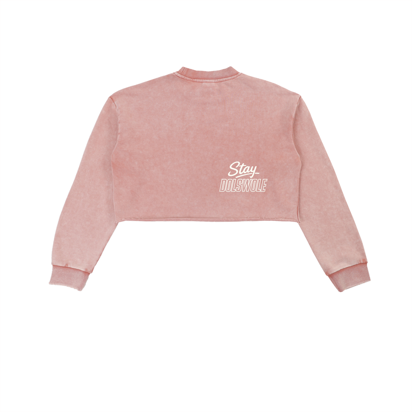 Snow Washed Raw Edge Cropped Sweatshirt